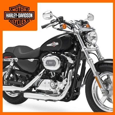 Mô Hình Gỗ Lắp Ráp 3D Cruiser Motorcycle Xe Moto Harley Davidson   banmohinhtinhcom